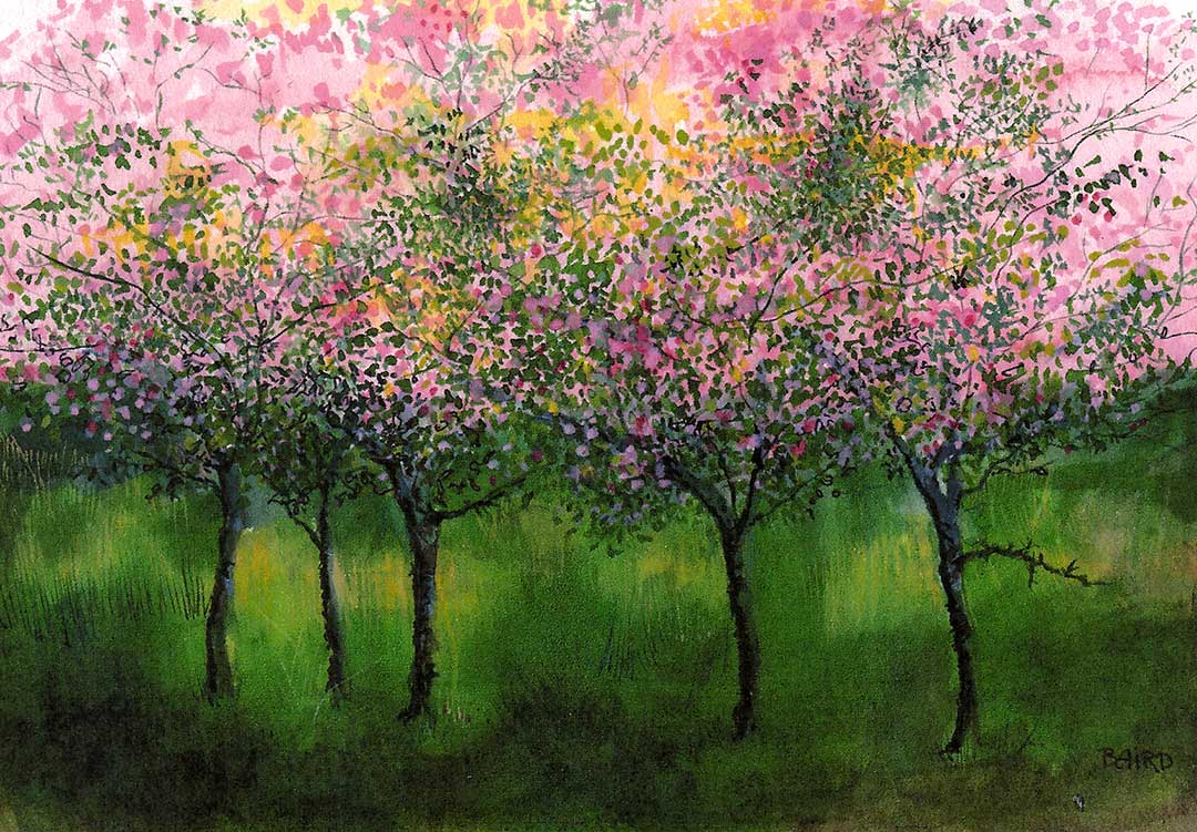 Crabapple Grove